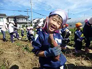 お芋掘り遠足